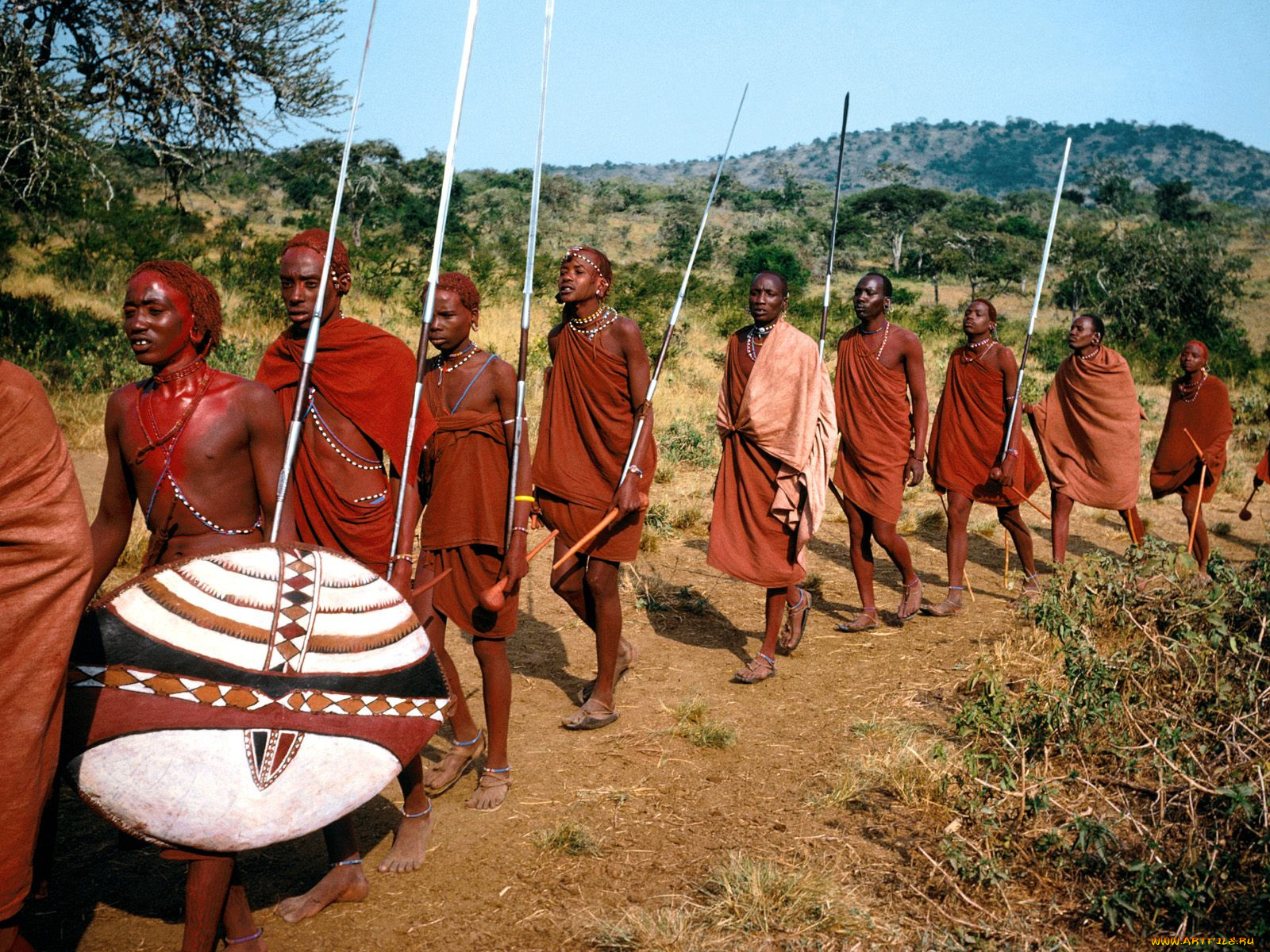 great, warriors, kenya, africa, , 